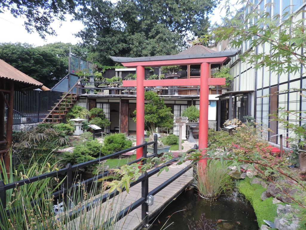 Zen Guest House - Museu Do Bonsai Sintra Oda fotoğraf