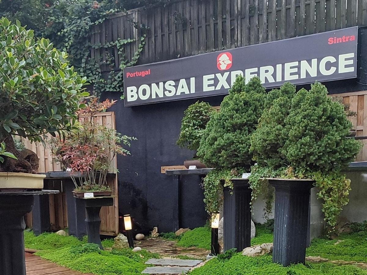 Zen Guest House - Museu Do Bonsai Sintra Dış mekan fotoğraf